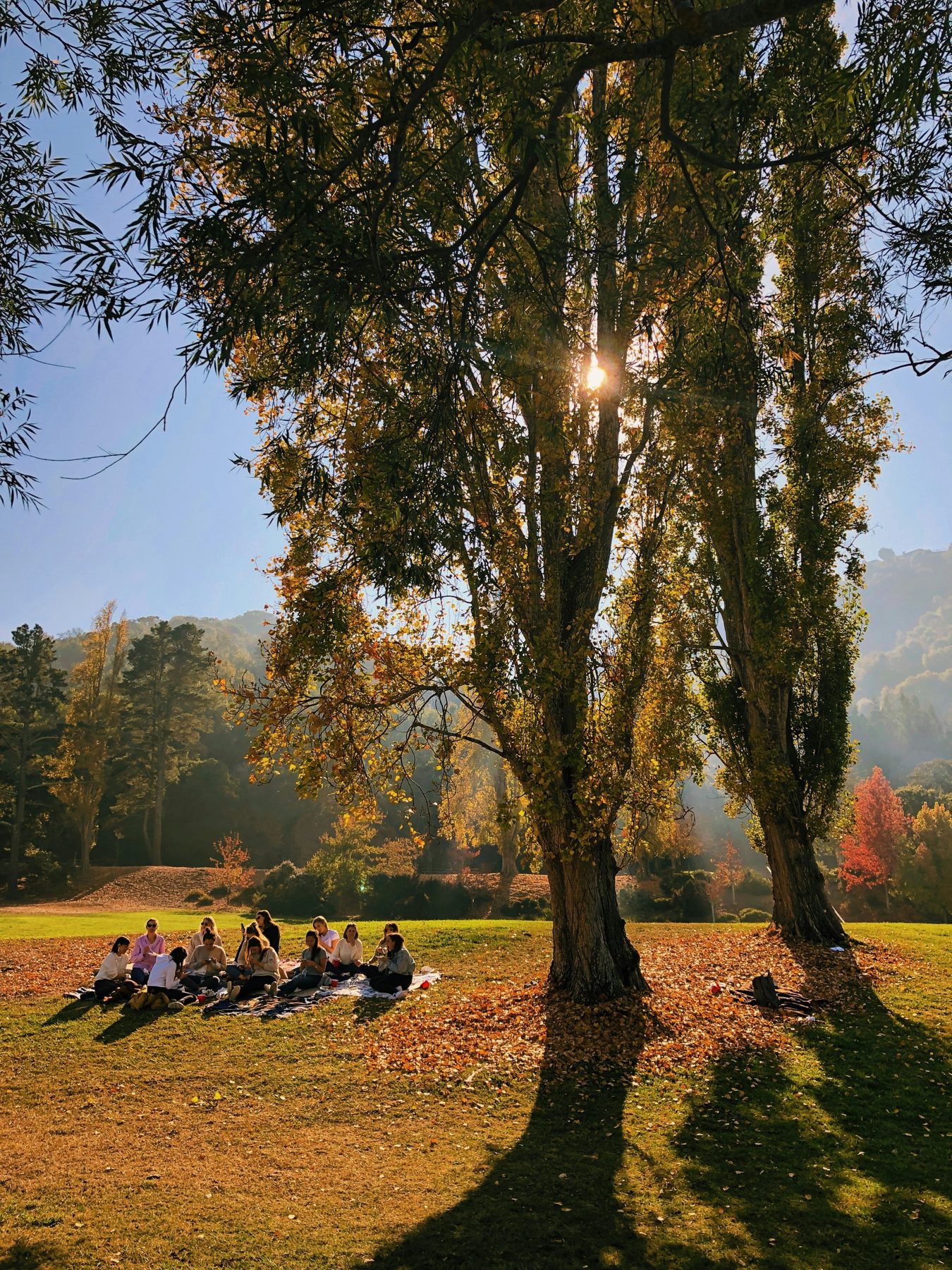 Groupe réuni en plein air, sous les arbres à l'automne