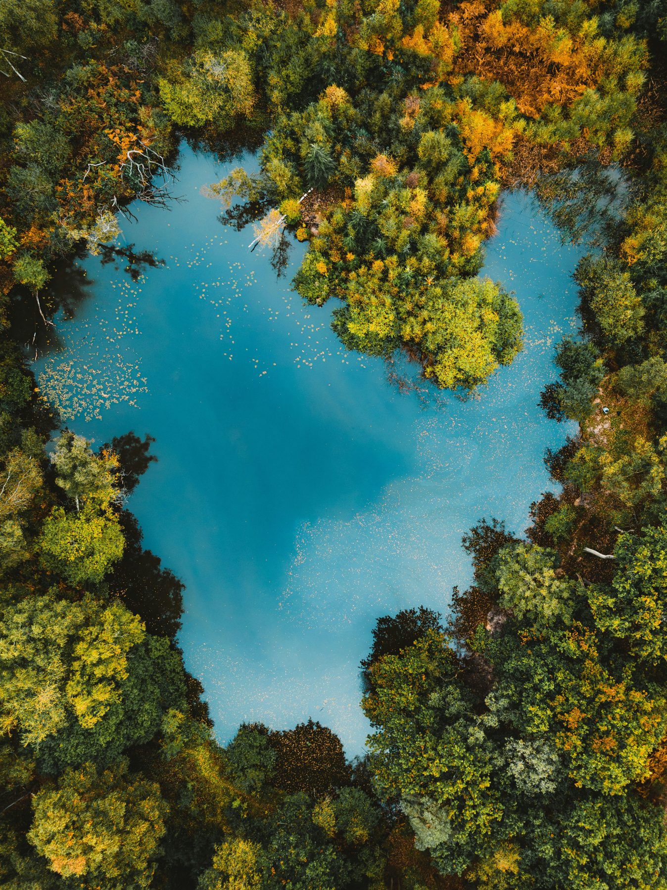 Étang aux eaux turquoise entouré d'une forêt aux couleurs d'automne, vue du ciel